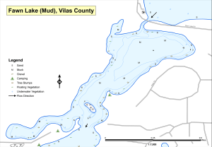 Fawn Lake 2 T42N R05E S11 (Mud) Topographical Lake Map