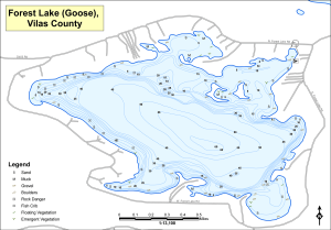 Forest Lake (Goose) Topographical Lake Map