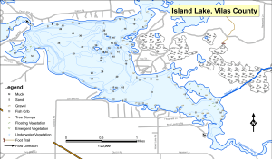 Island Lake Topographical Lake Map