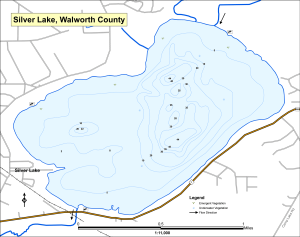 Silver Lake Topographical Lake Map