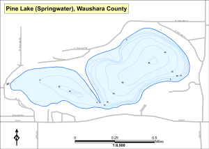 Pine Lake (Springwater) Topographical Lake Map