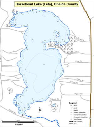 Horsehead Lake (Leta) Topographical Lake Map