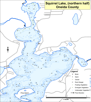 Squirrel Lake (1 of 2) Topographical Lake Map