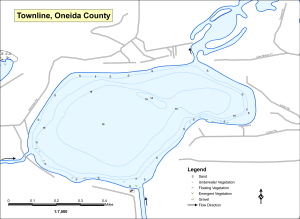 Townline Lake T39NR11ES31 Topographical Lake Map